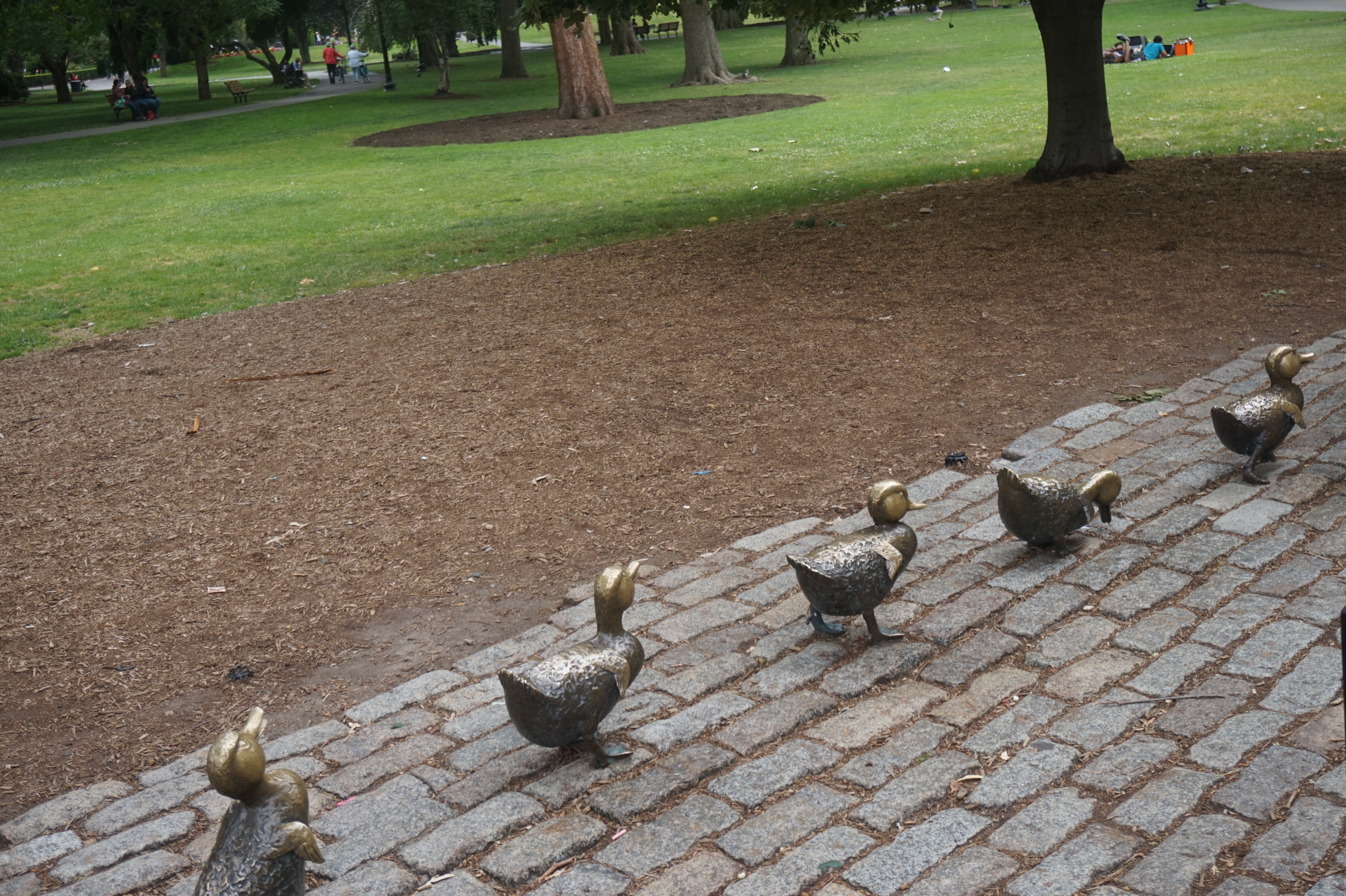 Okay. Make way for the ducklings