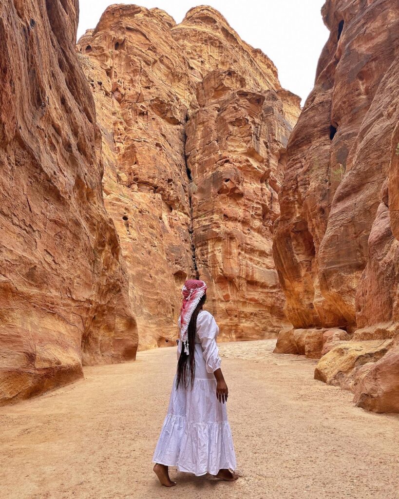 Une fleur du désert : Fleurs : Wadi Rum : Wadi Rum et mer Rouge : Jordanie  