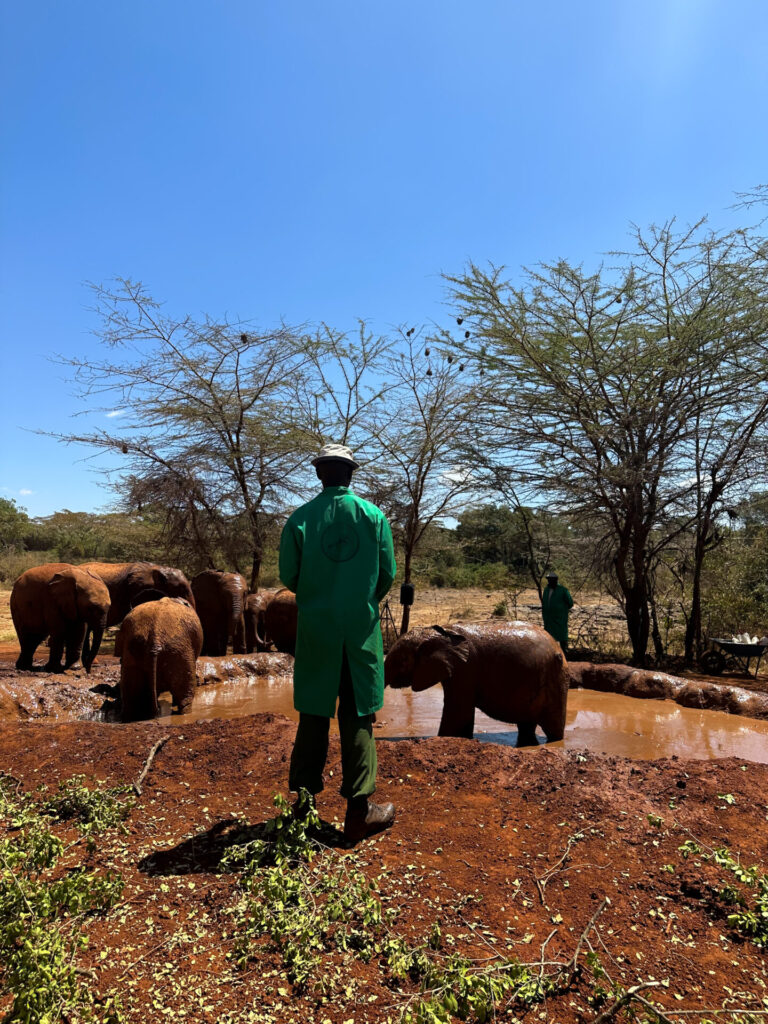 nairobi tourist guide