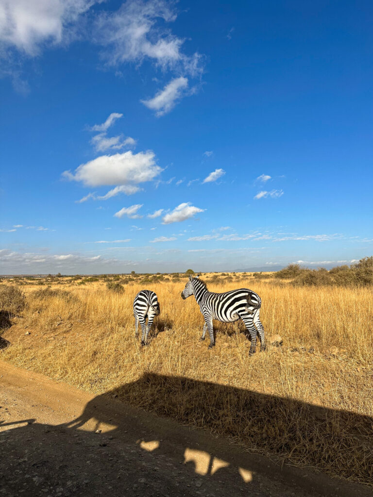 nairobi travel guide book